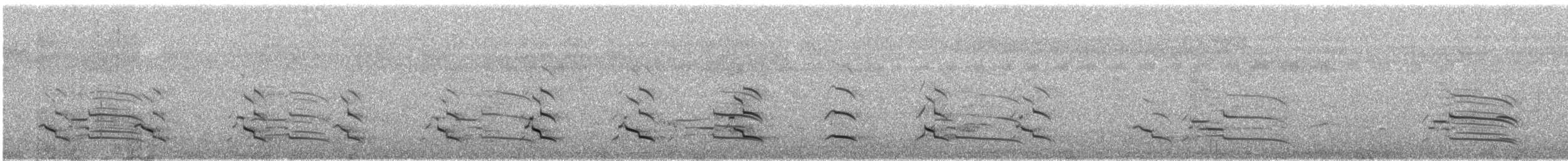 Short-toed Snake-Eagle - ML648002751