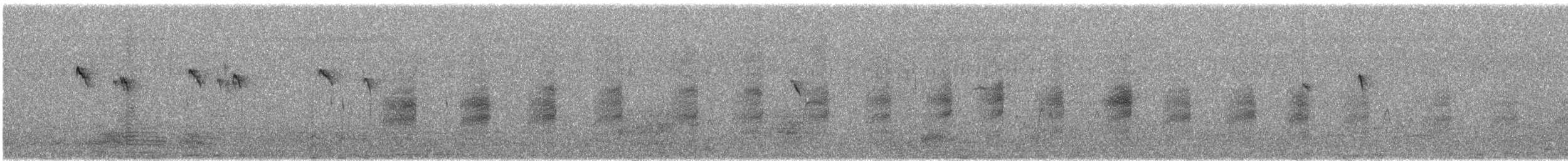 Common Kingfisher - ML648002769