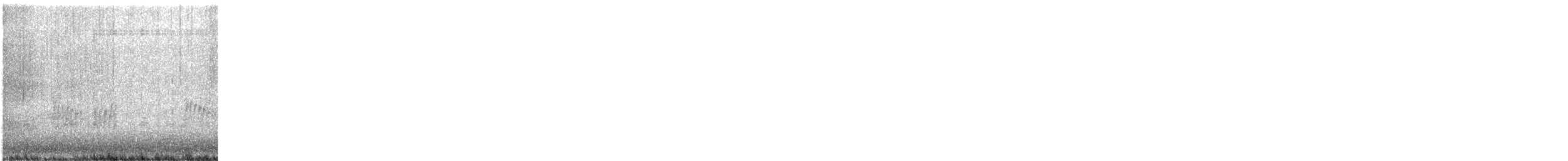 Northern House Wren - ML648008518