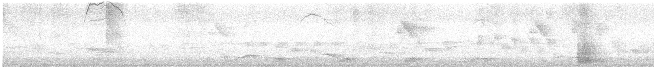 Bengalenpirol - ML648013242