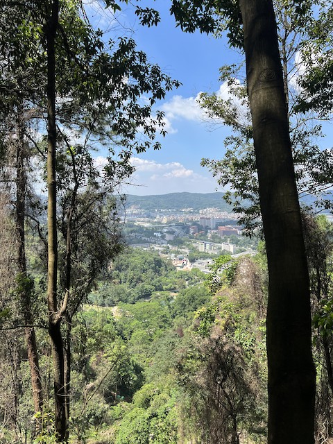 火炉山森林公园(Huolushan Forest Park), Guangdong, China - eBird