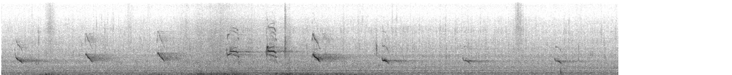 ミサゴ - ML648042116