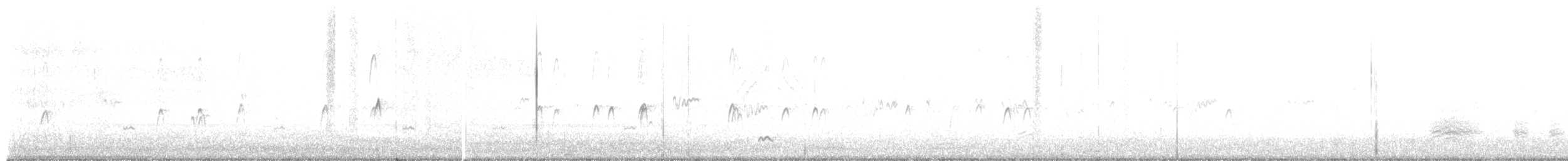 Northern Pintail - ML648046505