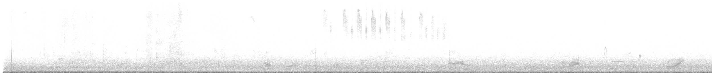 Long-billed Dowitcher - ML648046707