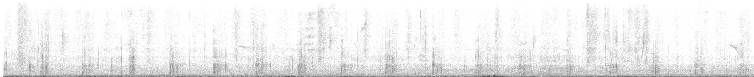 Black Phoebe - ML648047860