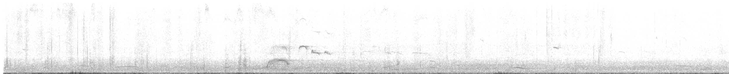 Long-billed Dowitcher - ML648048454