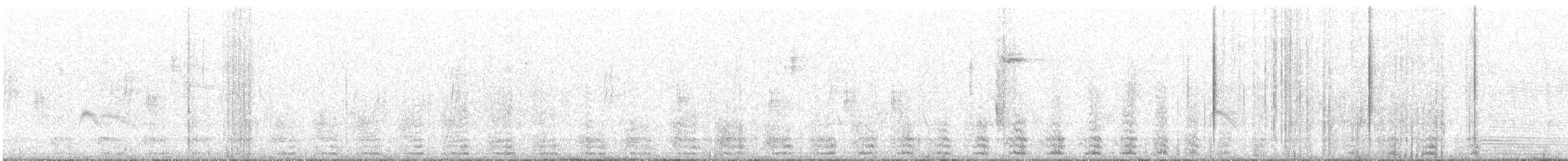 Crested Caracara (Northern) - ML648055617