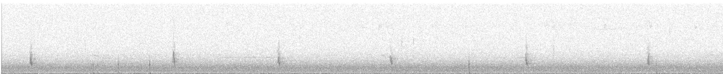 Hermit Thrush - ML648056496