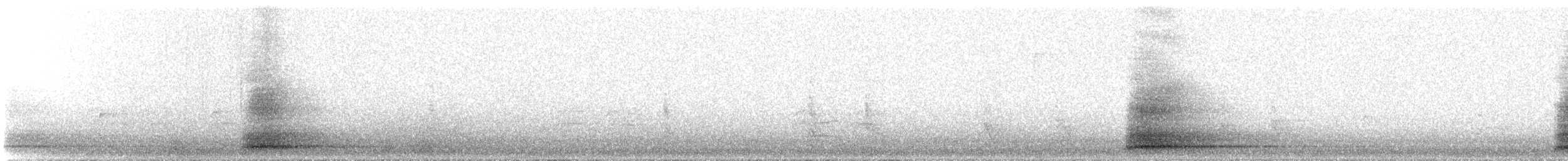 Animals - ML648059372