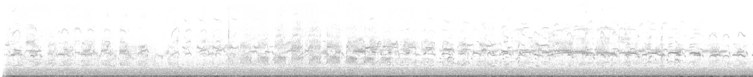 Forster's Tern - ML648068968