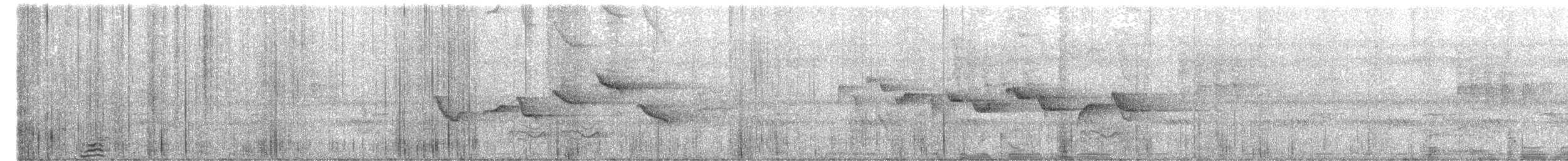 krattfluesnapper - ML648072878