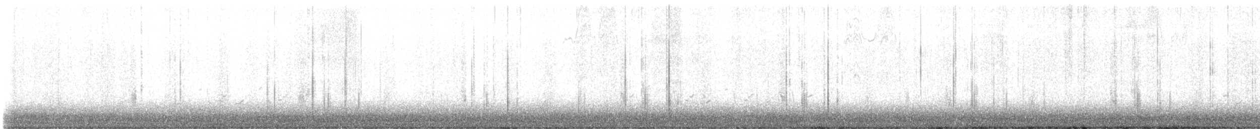 ミサゴ - ML648072908