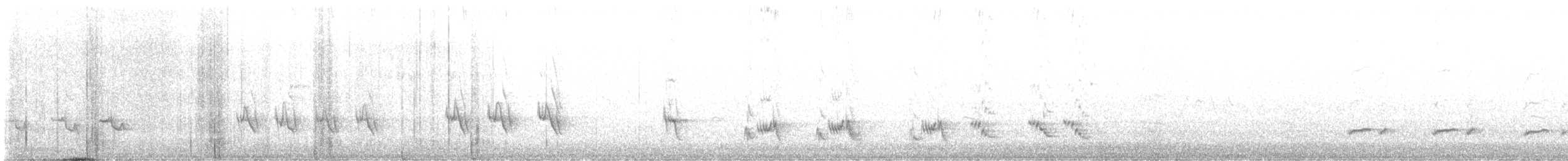 Northern Mockingbird - ML648077108