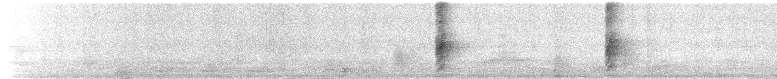 Indian Paradise-Flycatcher - ML648107210