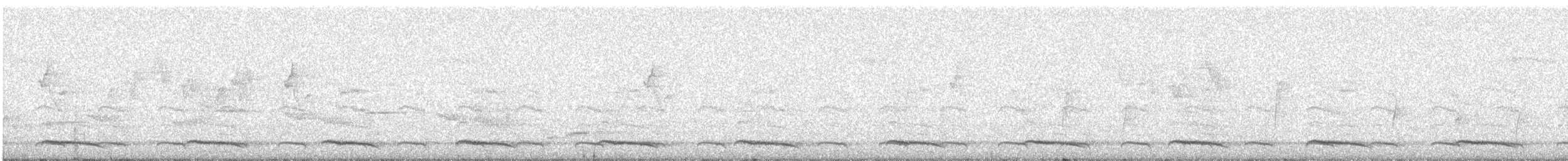 Большой бородастик - ML648111220