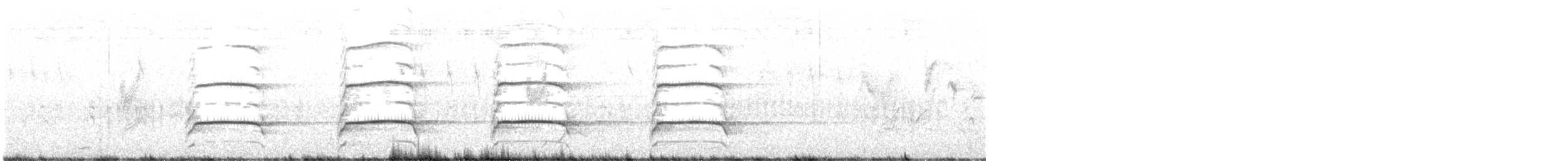 sjakalvåk - ML648116447