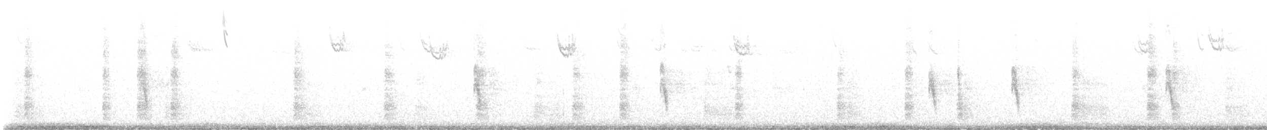 Brown Thrasher - ML648116705