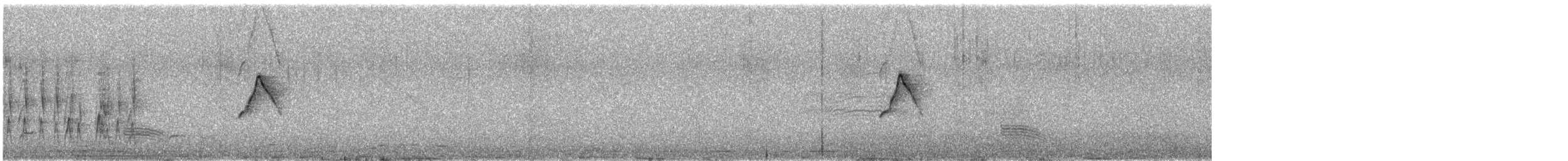 Suiriri Flycatcher - ML648118454