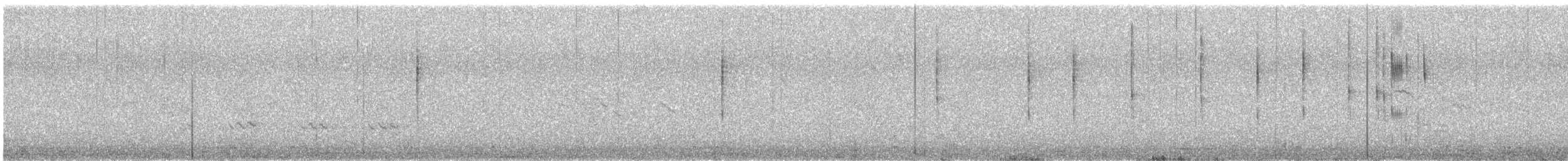 Hudson's Black-Tyrant - ML648118471