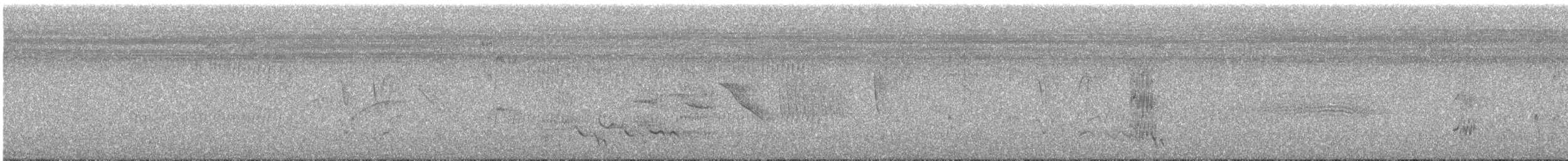 Tufted Tit-Tyrant - ML648120423