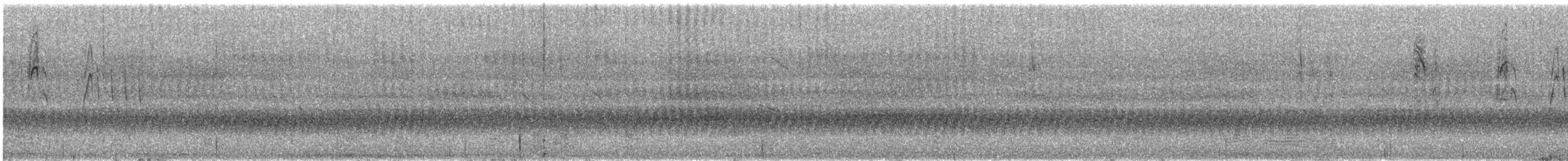 bird sp. - ML648121053