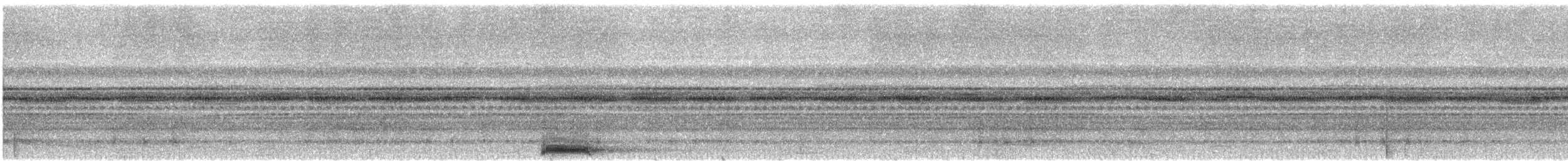 Moluccan Scops-Owl - ML648121934