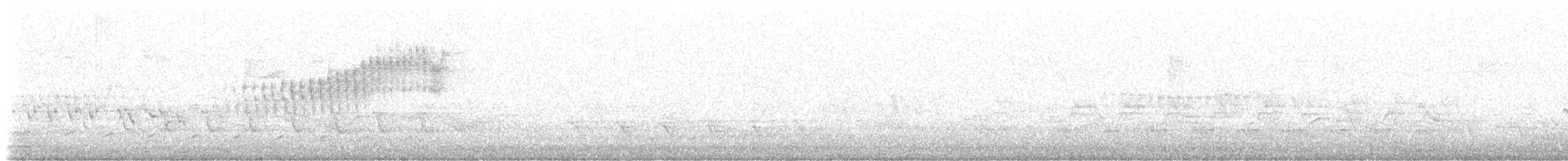 Northern Parula - ML648141823