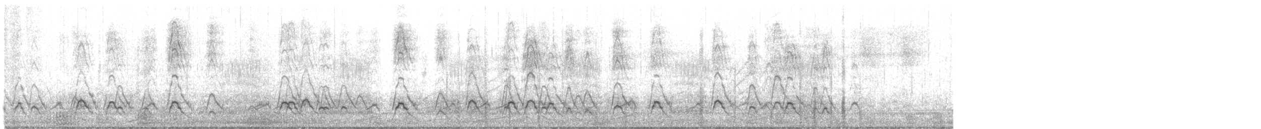 Canard d'Amérique - ML648142051