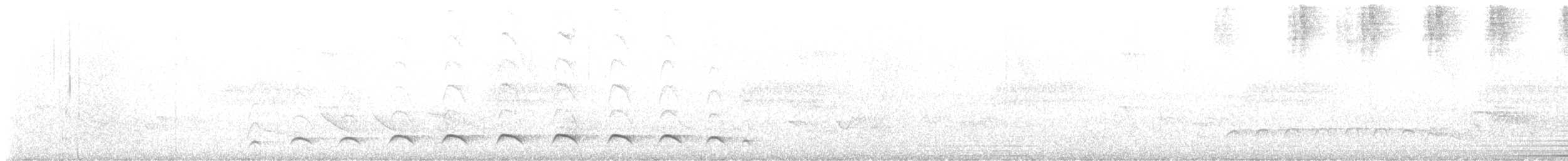 White-bearded Antshrike - ML648144372