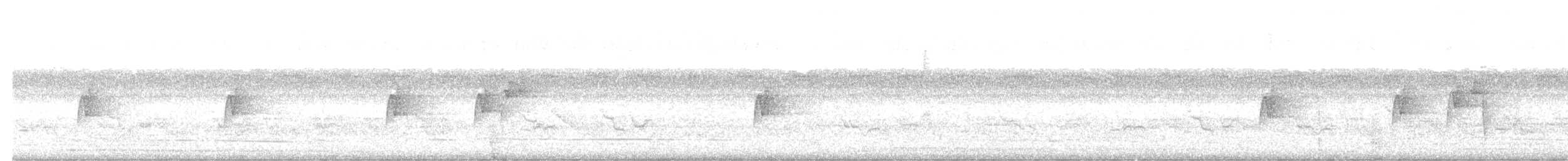 חטפית ירקרקה - ML648146746