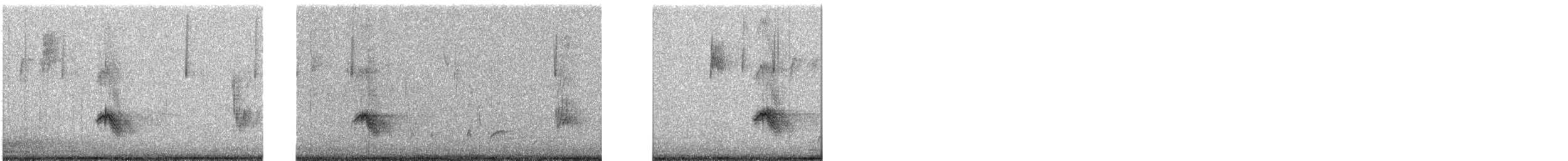 Evening Grosbeak - ML648155561