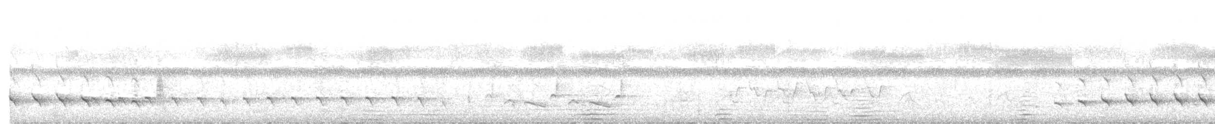 ミサゴ - ML648156195