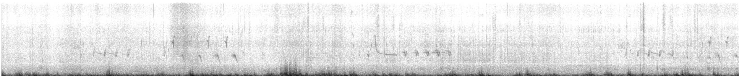 Grass Wren - ML648160317