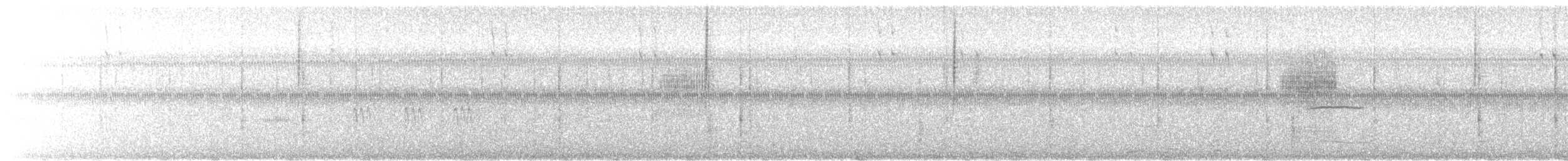 Grass Wren - ML648171559