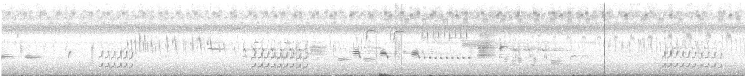 Txirri erdipalmatua - ML648175064