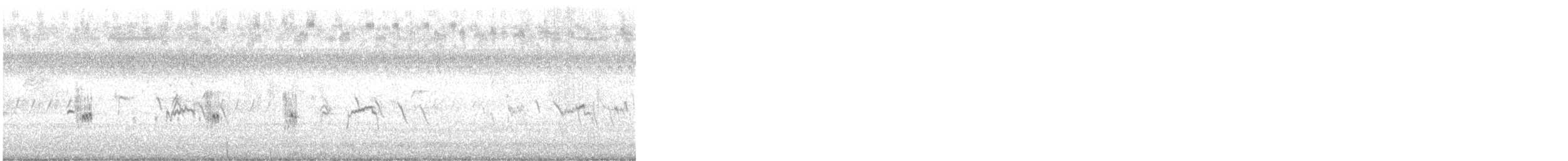 アメリカウズラシギ - ML648177078