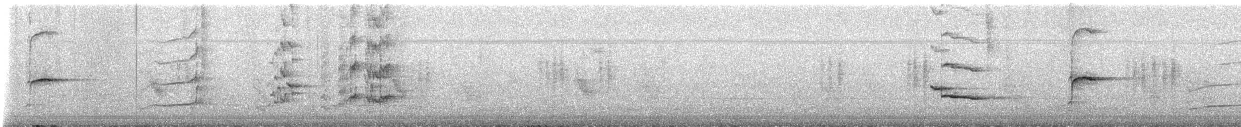 Rainbow Lorikeet - ML648178186