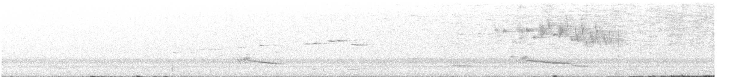 Australian Magpie - ML648179029