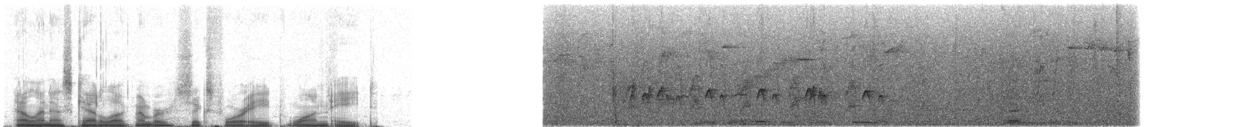 Тиран-крихітка темноголовий - ML64818