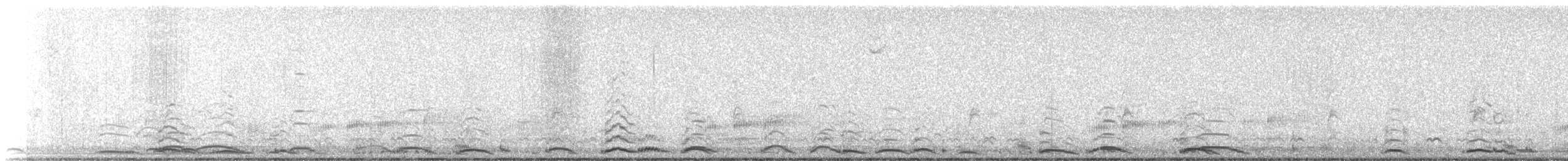 Zwergschwan - ML648181303