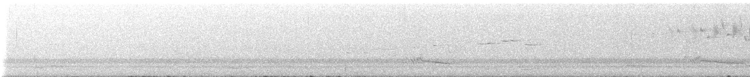 Australian Magpie - ML648186007