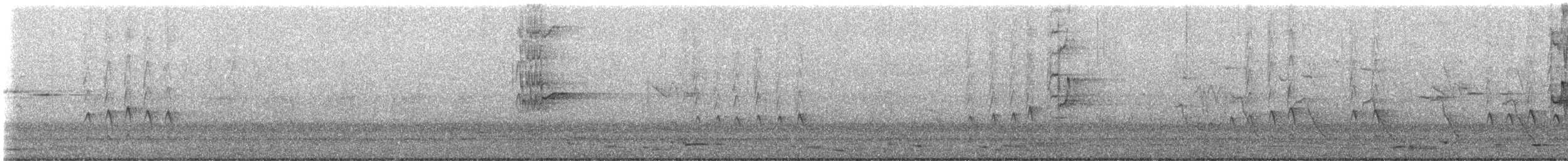 Purple-crowned Lorikeet - ML648186486