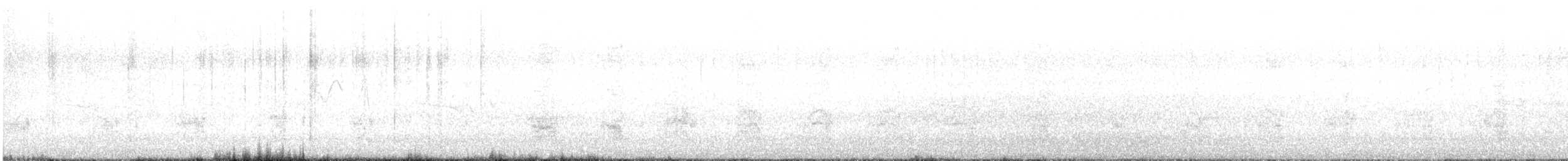 Cormorán Piquicorto - ML648189350