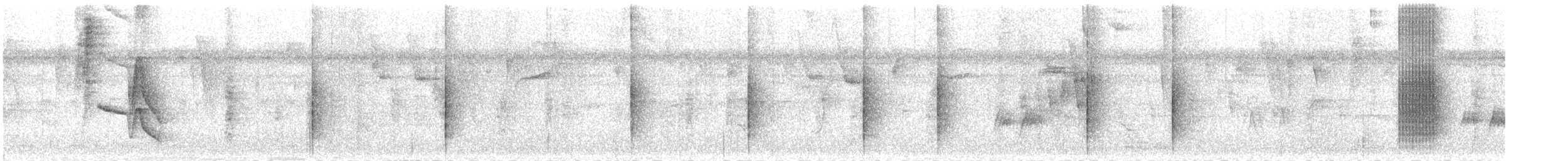 Weißbandpipra - ML648194924