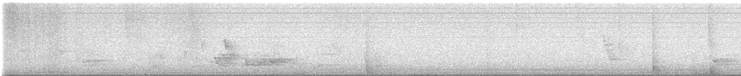 Rufipenne nabouroup - ML648196865