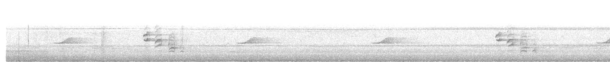 Malayan Black-capped Babbler - ML648197701