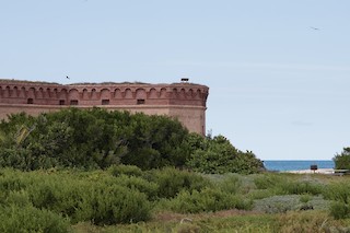 Dry Tortugas NP--Bush Key, Monroe, Florida, United States - eBird Hotspot
