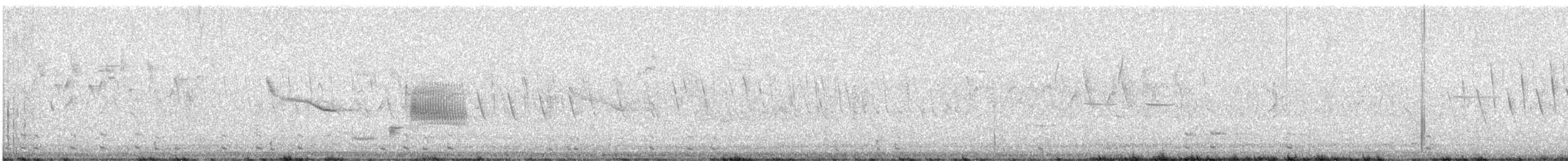 Common Gallinule - ML648204079