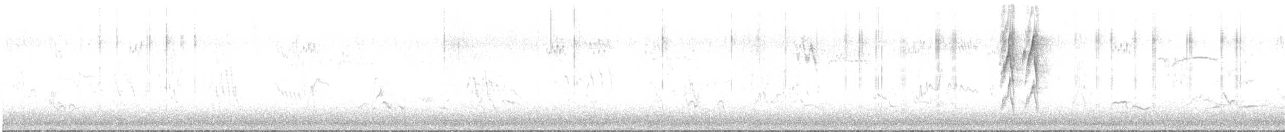 American Robin - ML648207576