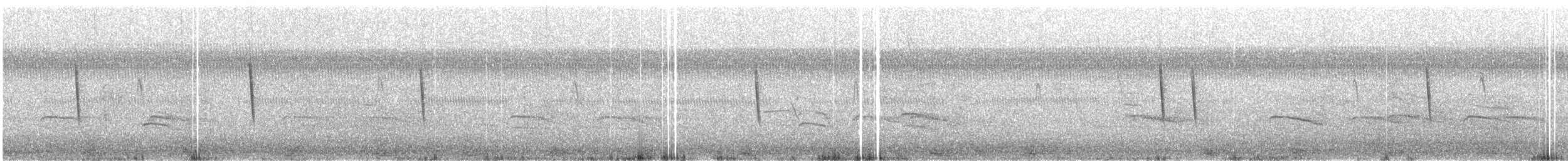 Sedge Wren - ML648243443